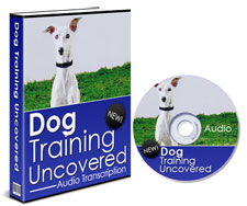 dogtaininguncovered-plr1.jpg